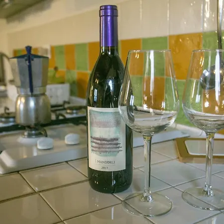Dom wakacyjny Case&colline Gelsomino Montescudaio