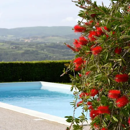 Case&colline Gelsomino Montescudaio